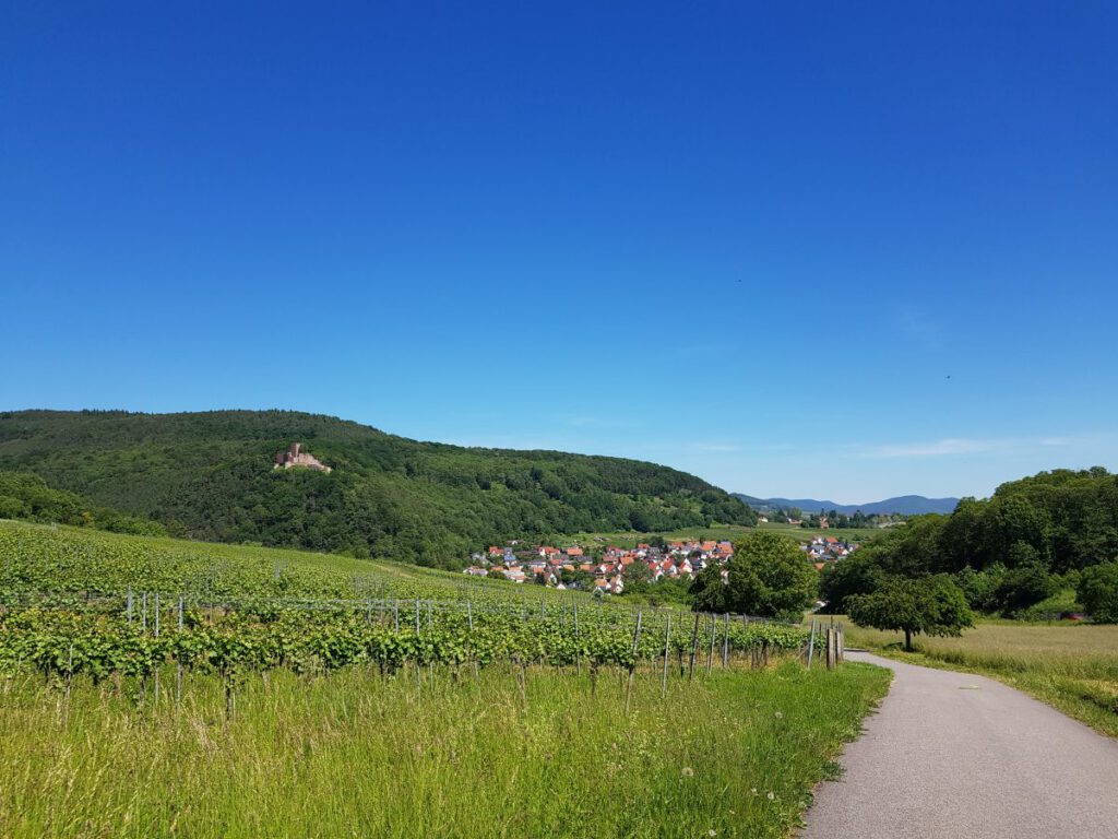 radtour pfalz