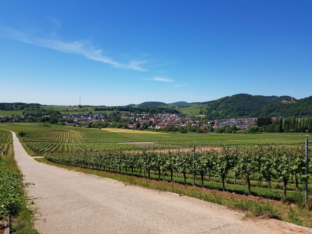 radtour pfalz