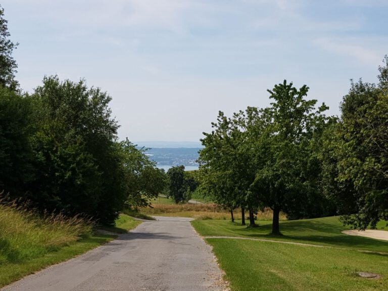 Blick zum Bodensee