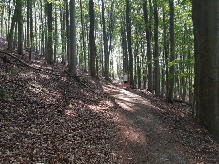 Radfahren und Wandern am Edersee