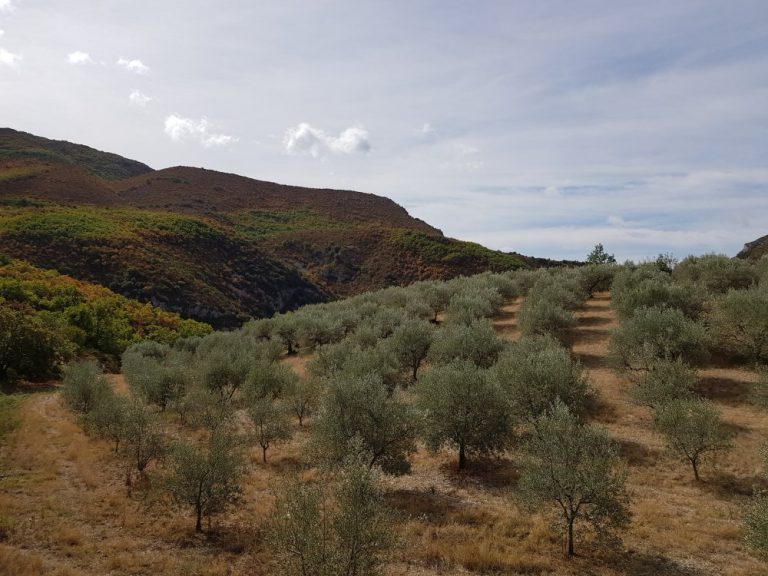 Geheimtipp Baronnies