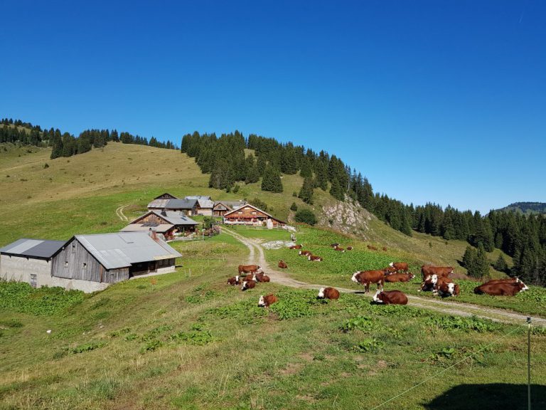 Rund um Abondance wandern