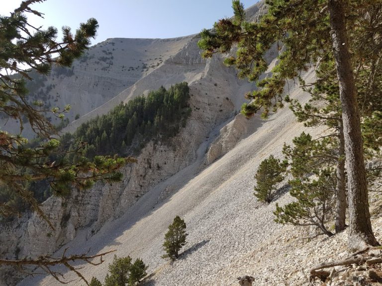 Wandern am Mont Ventoux