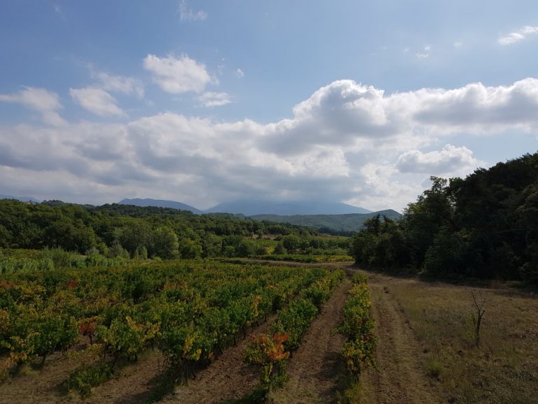 Mont Ventoux in den Wolken