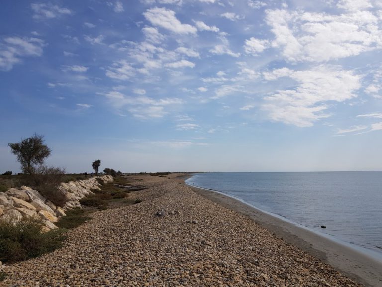 Am Strand von Saintes-Maries-de-la Mer