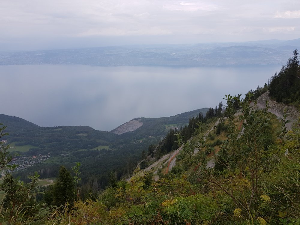 Blick von der Seilbahnstation zum Genfer See