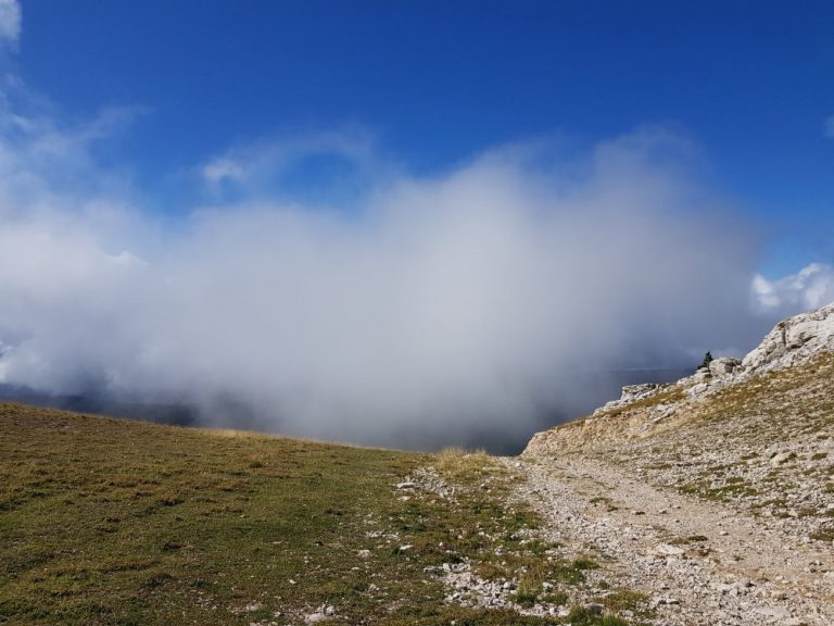 Blick zurück