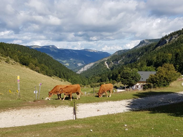 Wandern im Vercors