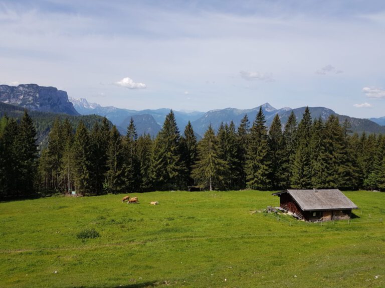 Wandern Bad Reichenhall