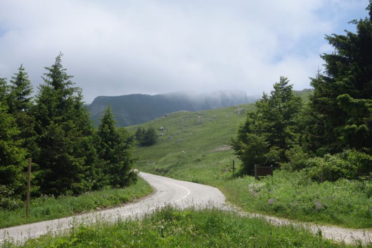 Col de la Bataille