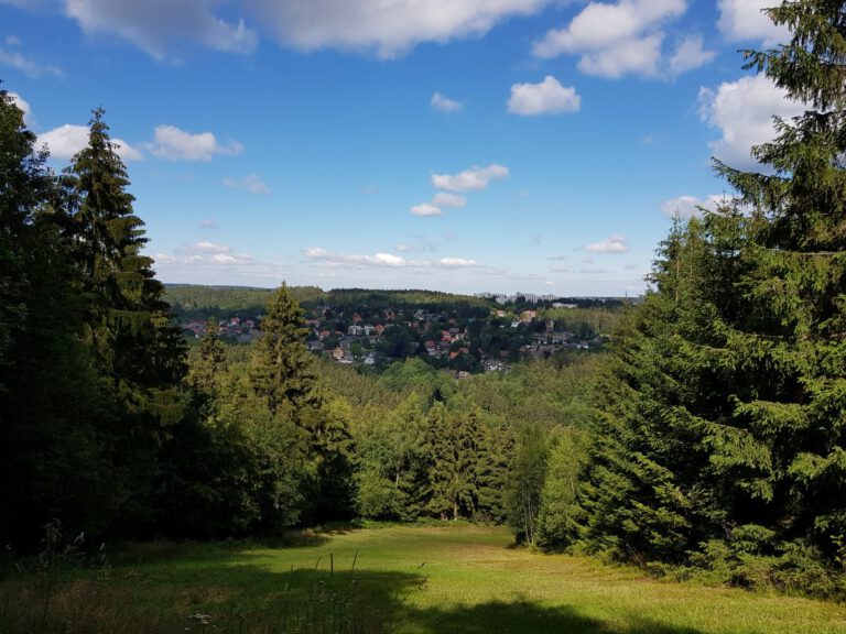 Wandern rund um Lautenthal und Sieber