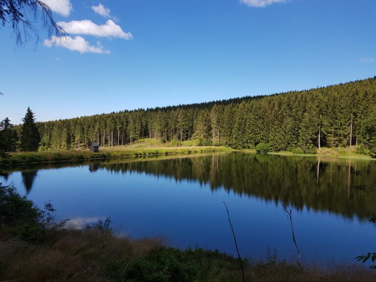 Wandern rund um Lautenthal und Sieber