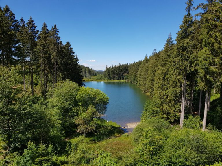 Wandern rund um Lautenthal und Sieber