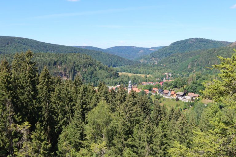 Wandern rund um Lautenthal und Sieber