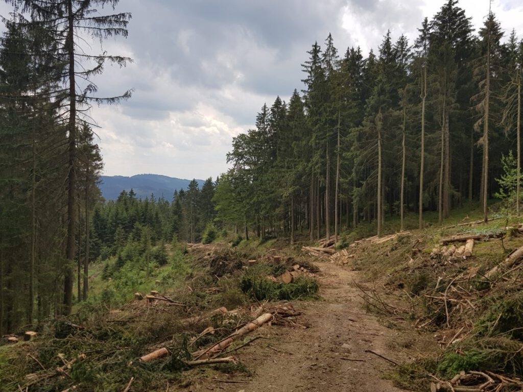 Wandern rund um Lautenthal und Sieber