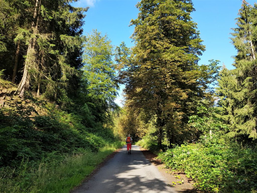 Wandern rund um Lautenthal und Sieber