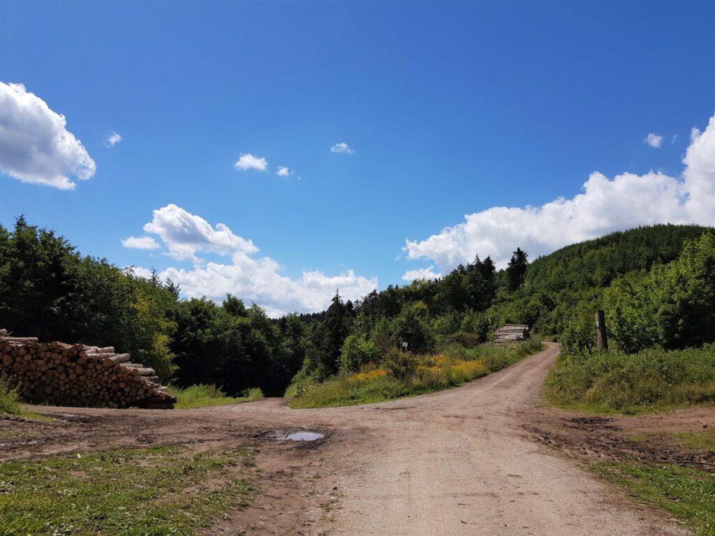 Wandern rund um Lautenthal und Sieber