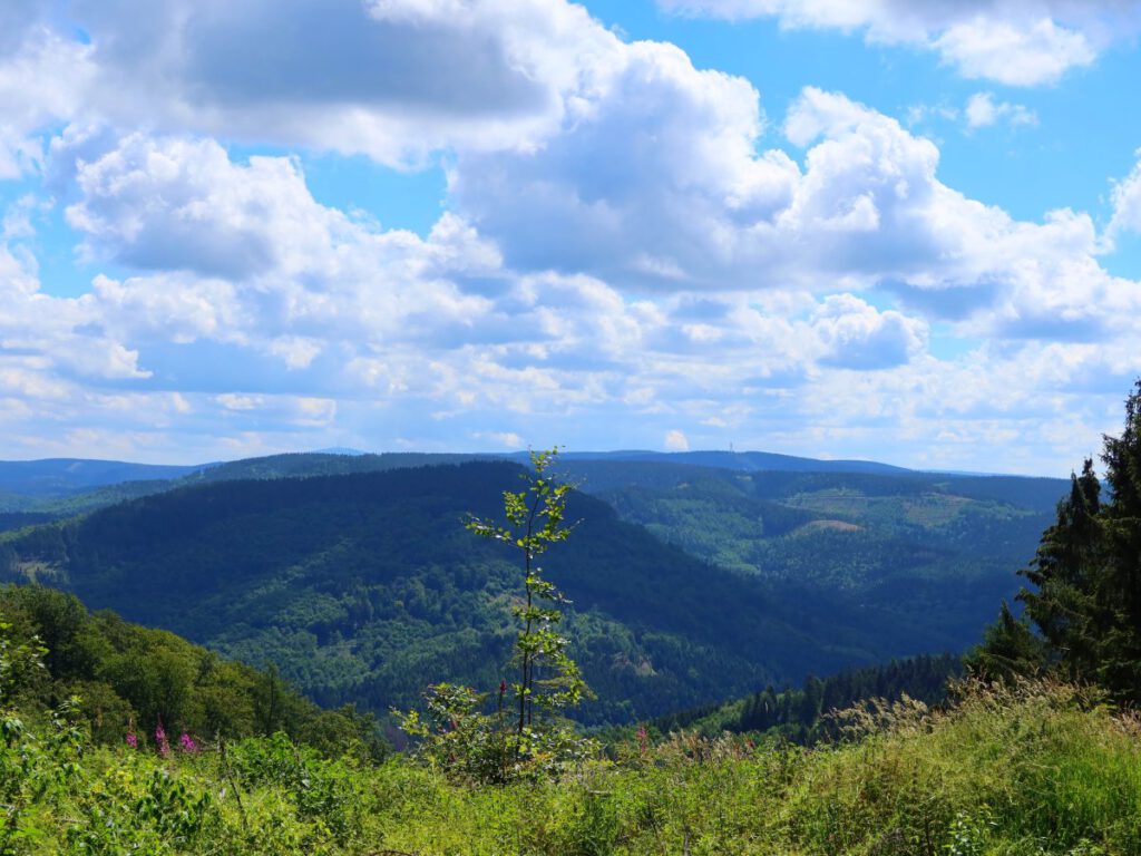 Wandern rund um Lautenthal und Sieber