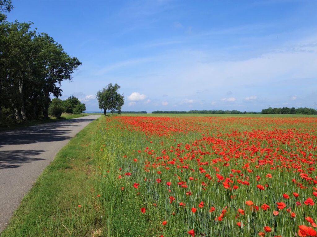 Abstecher in die Provence