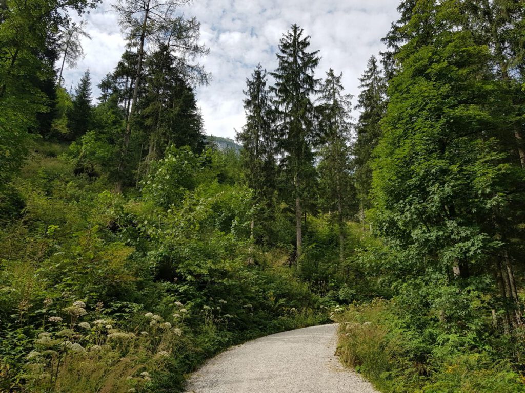 Nationalpark Berchtesgaden