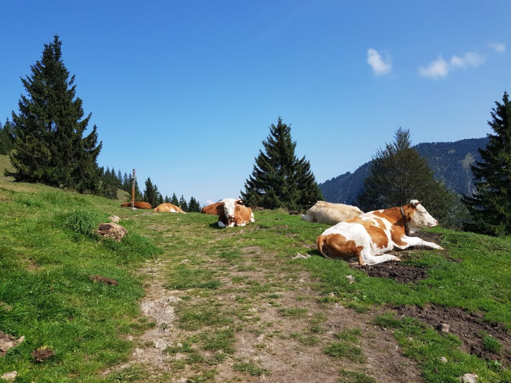 wanderung Seebergkopf