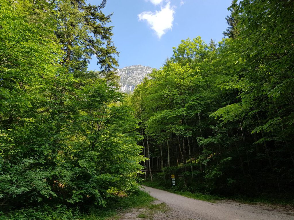 Wanderung zum Hochstaufen