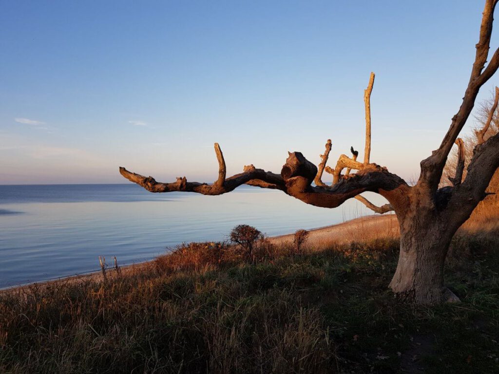 November Ostsee