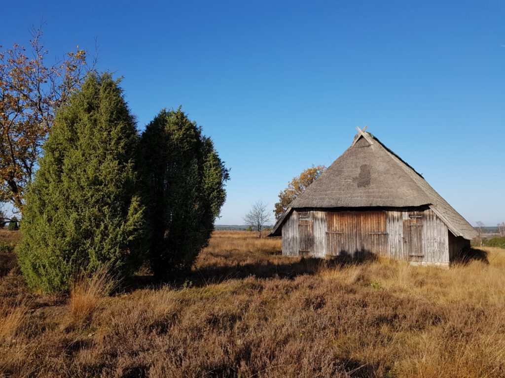 Wandern in Undeloh