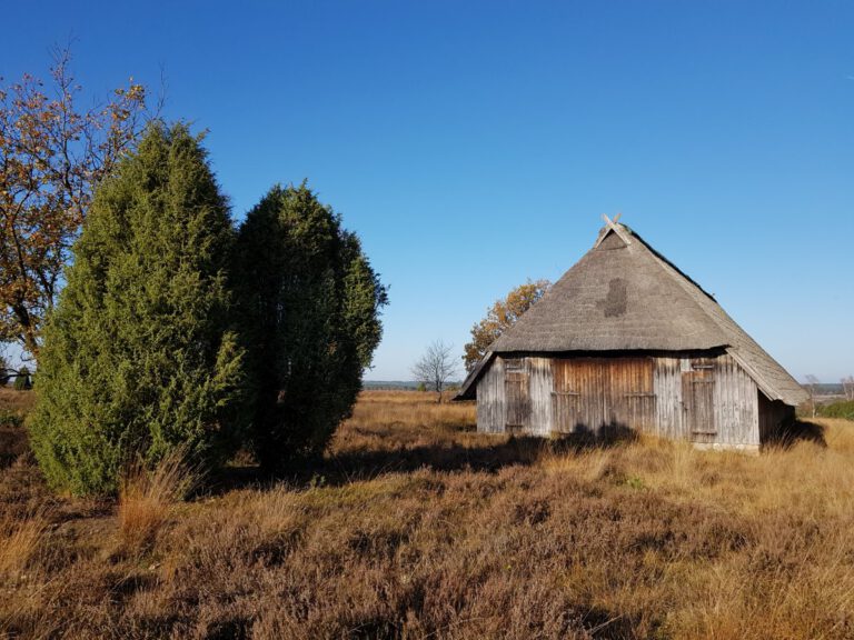 Wandern in Undeloh