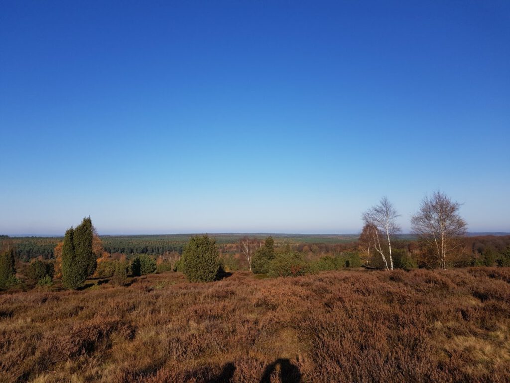 Heidelandschaft rund um Undeloh