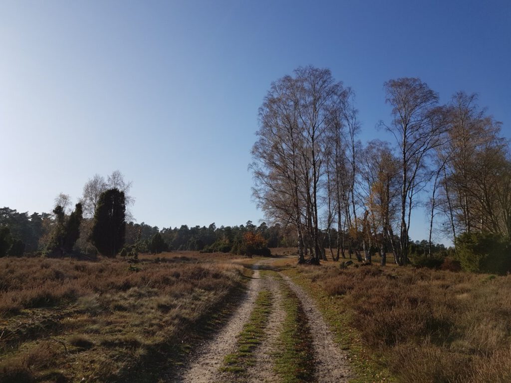 Heidelandschaft rund um Undeloh