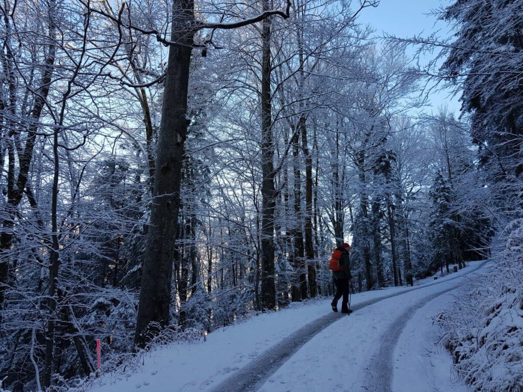 winter am tegernsee