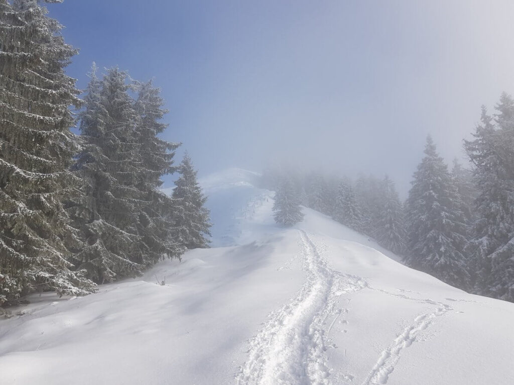 winter am tegernsee