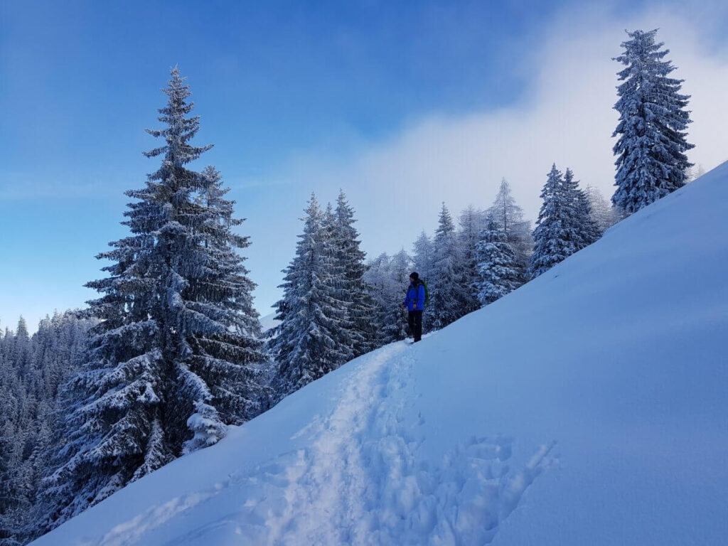 winter am tegernsee