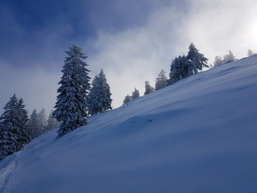 winter am tegernsee