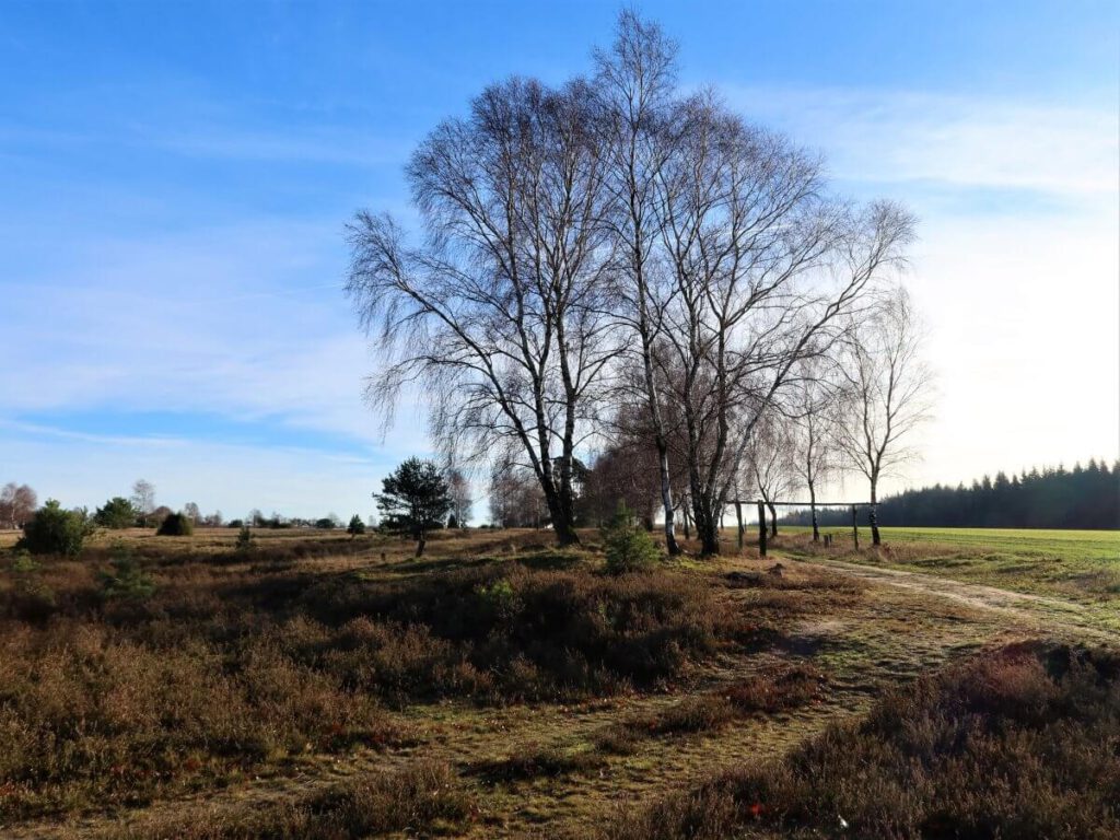 wandern in oberhaverbeck