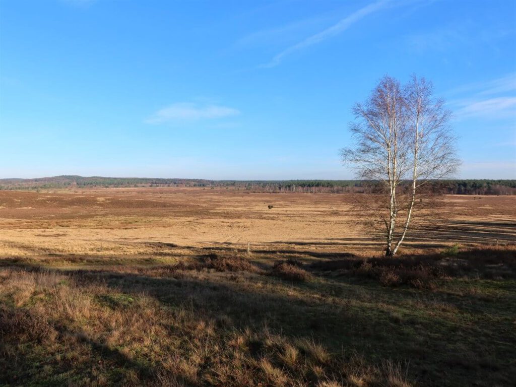 wandern in oberhaverbeck