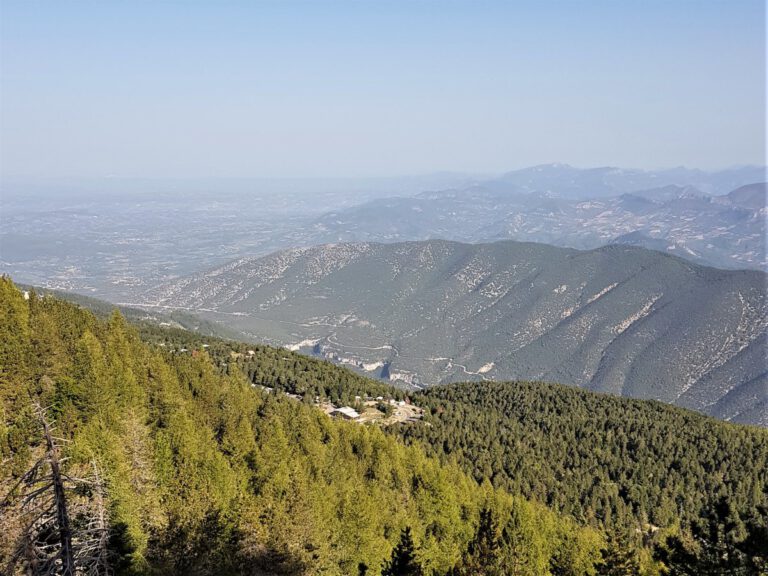 Wohnmobilstellplatz mit Panoramblick