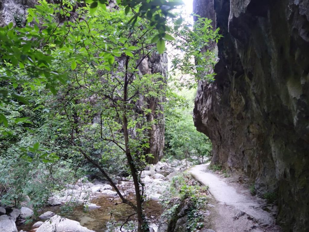 gorges de caranca