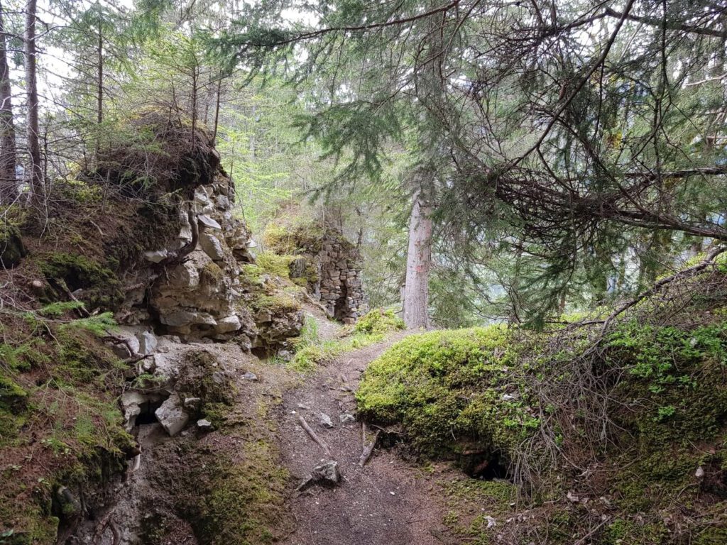 Ruine Friedburg