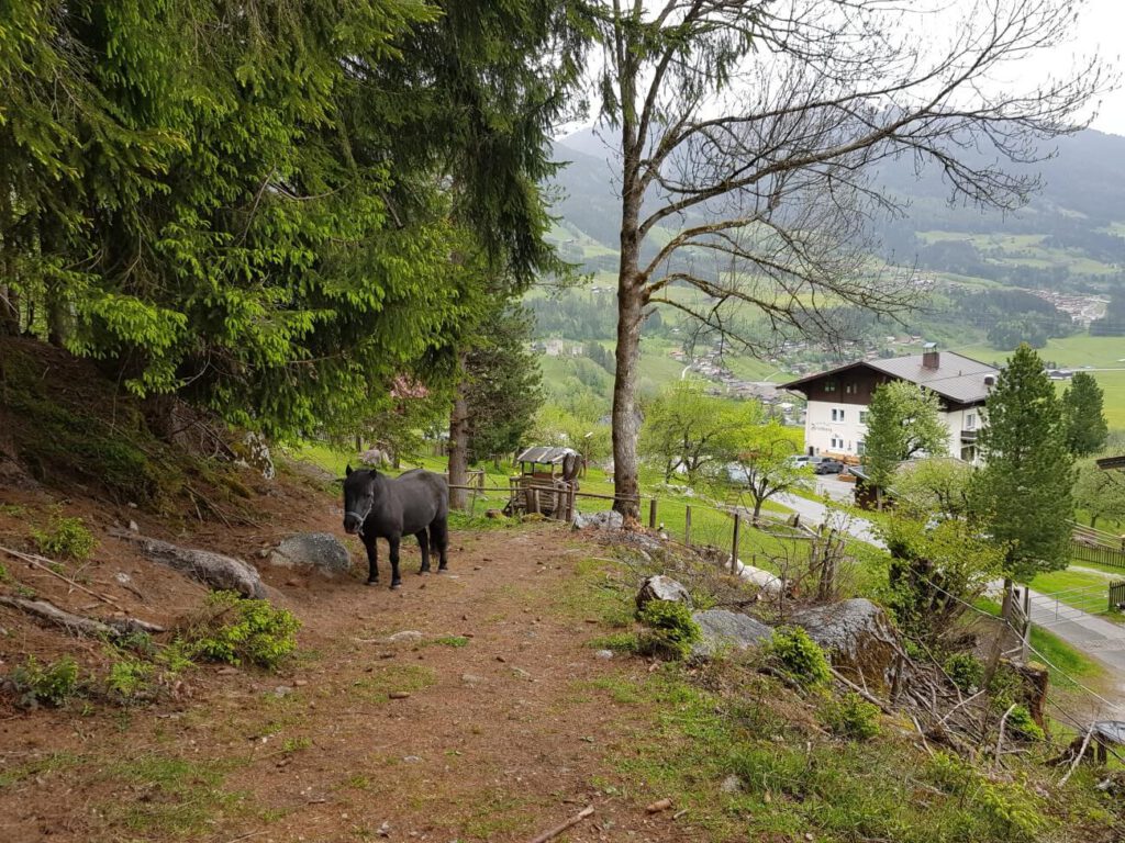 Neukirchen mit dem Wohnmobil