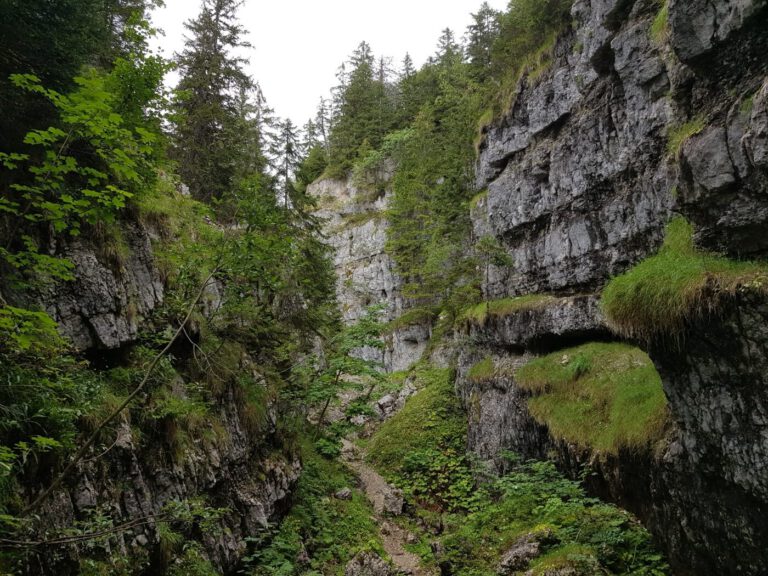 Wanderung Notre Dame de la Neige