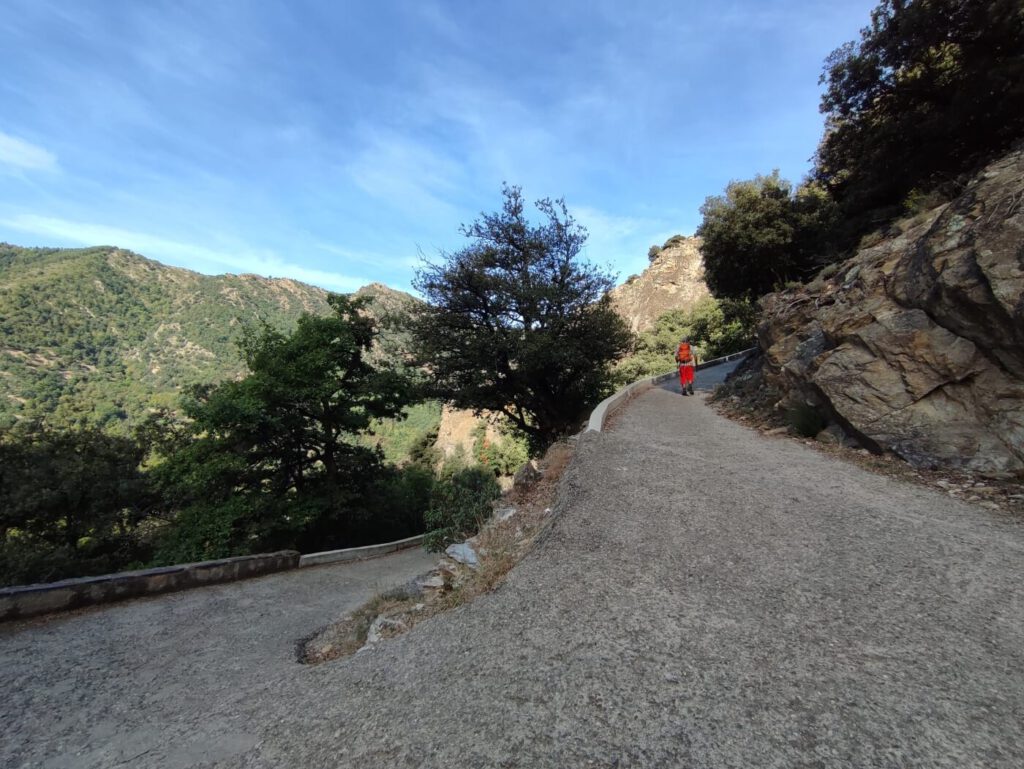 Wanderung Abbaye Saint-Martin du Canigou