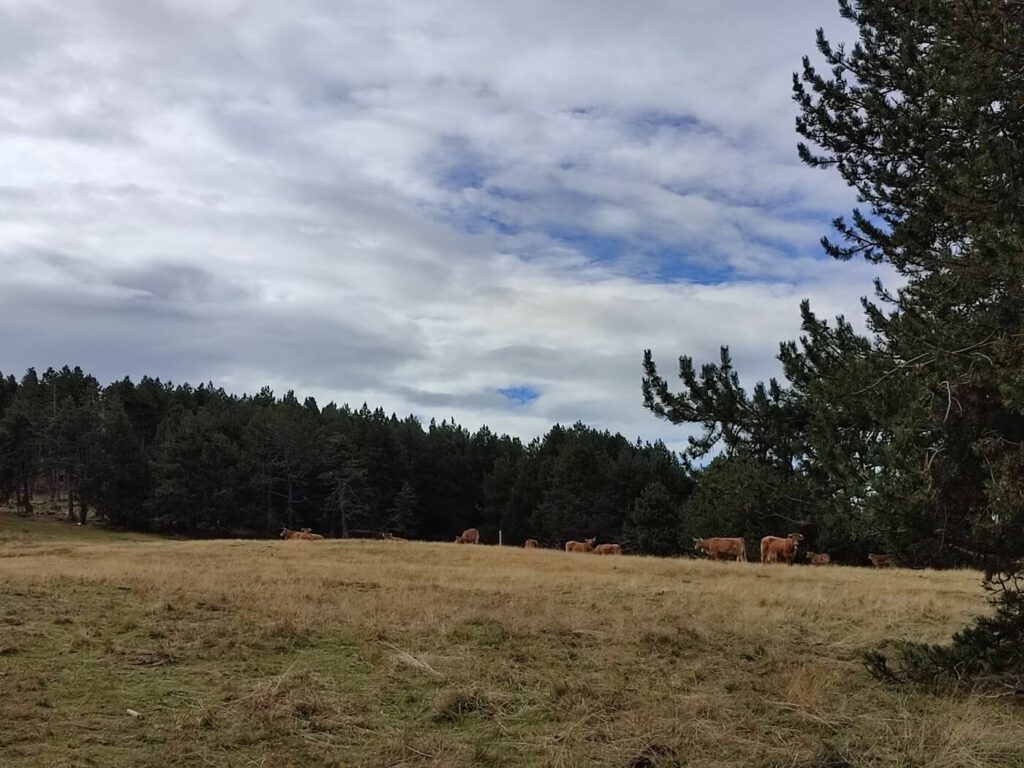 Pyrenäen mit dem Wohnmobil im Herbst