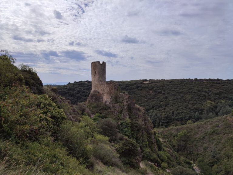 Eindrucksvolles Minervois