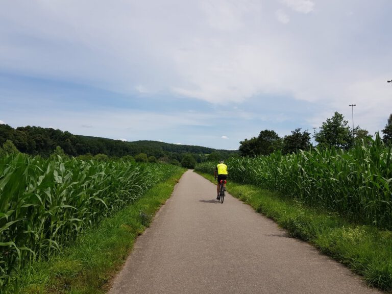 Odenwald Wohnmobil