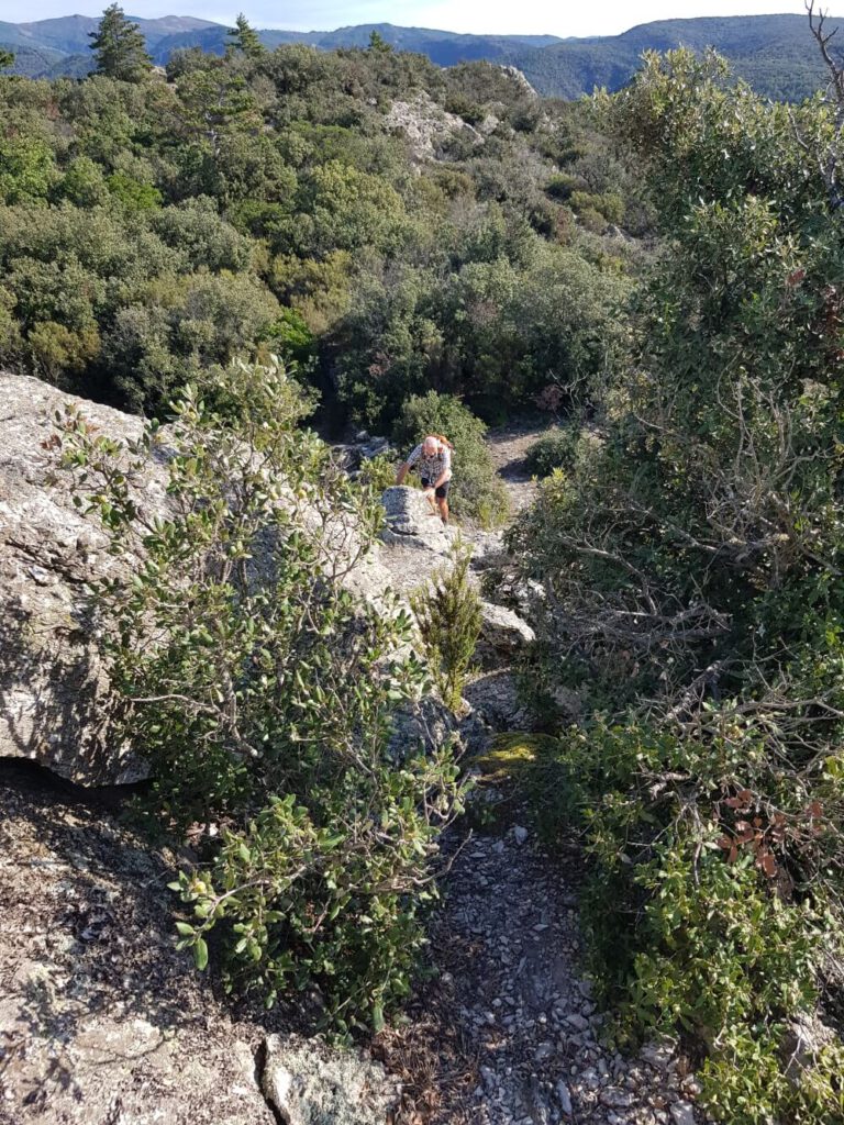 Eindrucksvolles Minervois