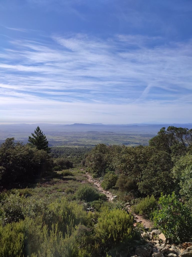 Eindrucksvolles Minervois