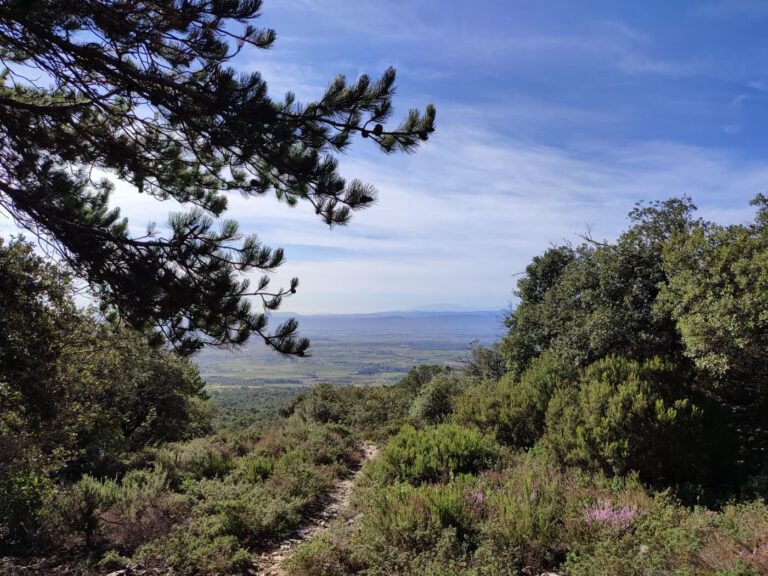 Eindrucksvolles Minervois