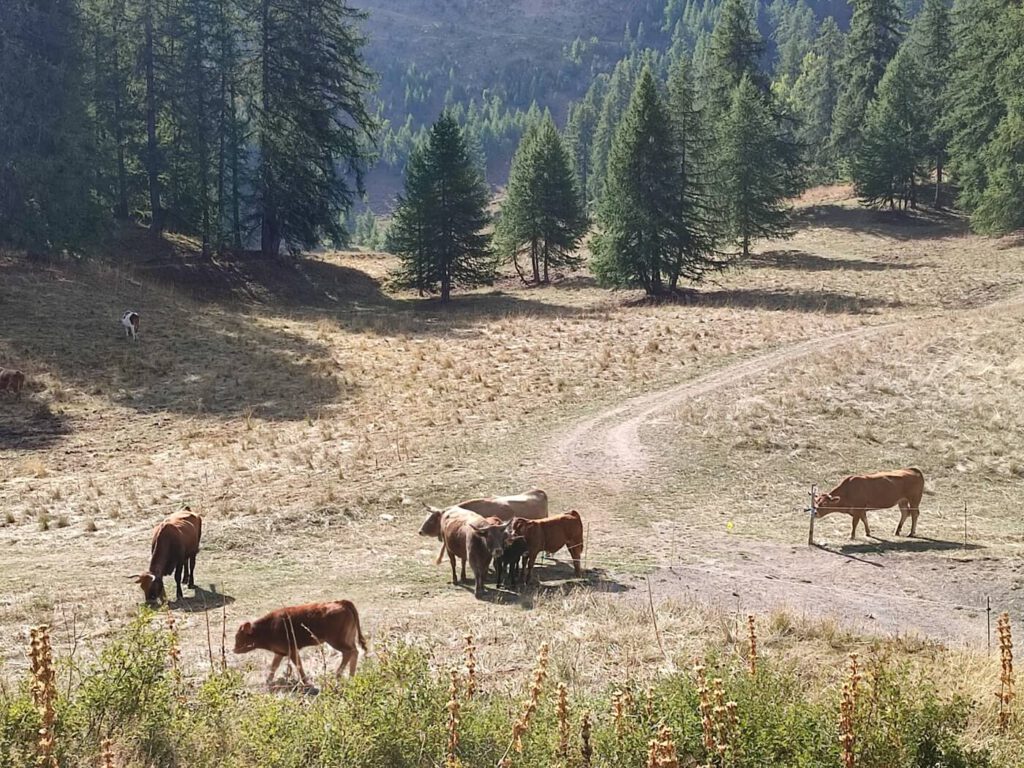 Wanderung zur Station 2000